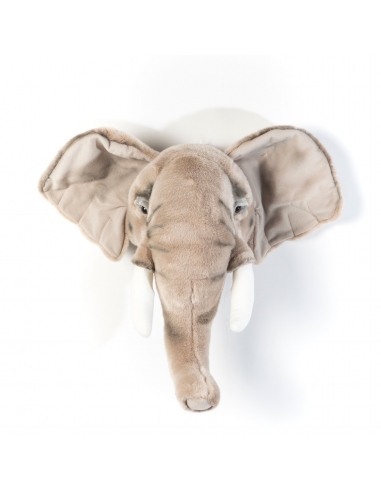 Elephant Trophy - Wild & Soft