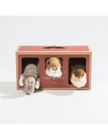 Safari Box - Wild and Soft